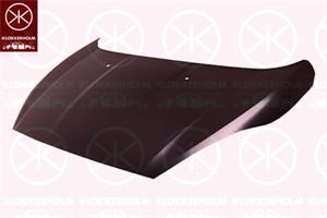 Konepelti, FORD FIESTA VI, FIESTA Van VI, 1 781 736, 2002312