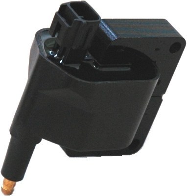 Sytytyspuola MAGNETI MARELLI 060717079012